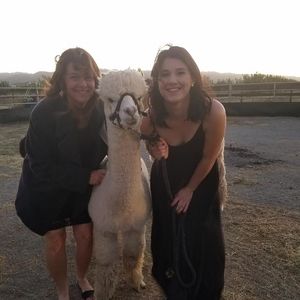 Meet your Posher, Dawn